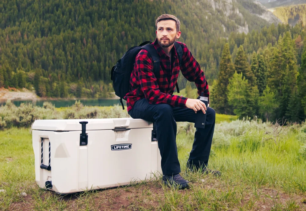 coke outdoor cooler